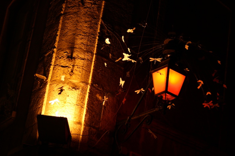 Bugs Paradise