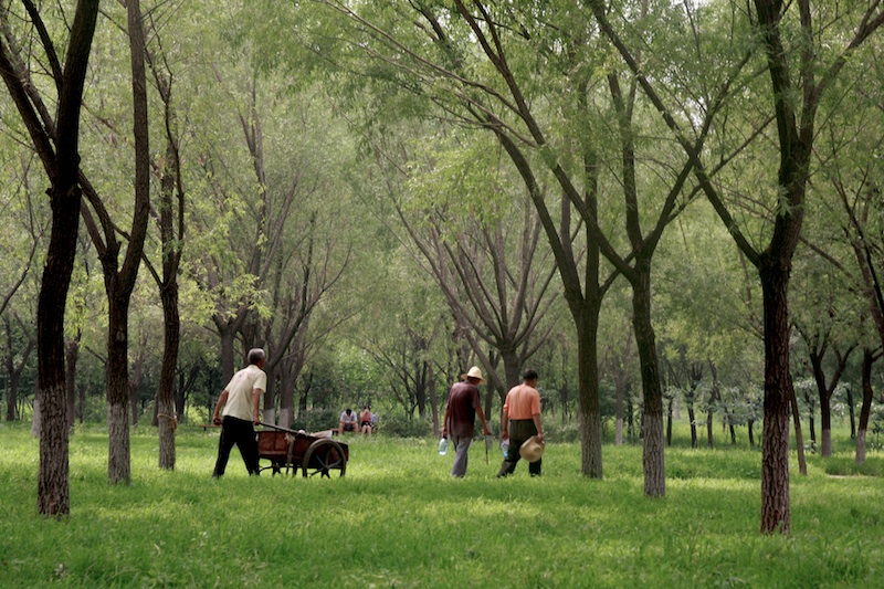 Workers in Olyimpic Forrest Park