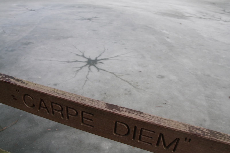 Carpe Diem