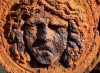 Rusty Face