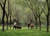 Workers in Olyimpic Forrest Park